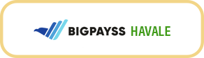 Bigpayss Bank Transfer